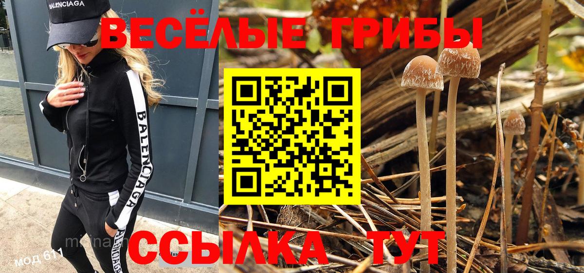 Галлюциногенные грибы Psilocybe Конаково