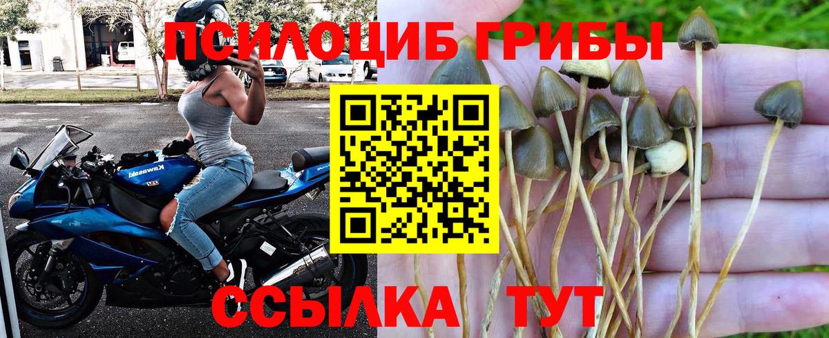 Псилоцибиновые грибы Cubensis  наркотики  Вход с VPN  Конаково  Псилоцибиновые грибы MAGIC MUSHROOMS 